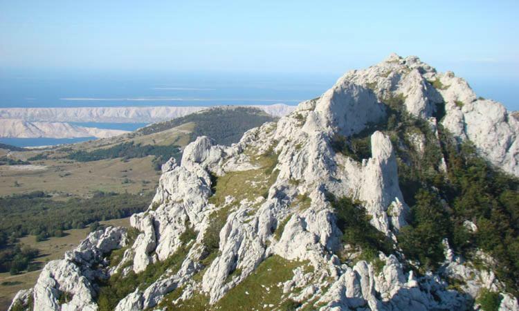 Apartment Urem Biograd Na Moru Eksteriør bilde